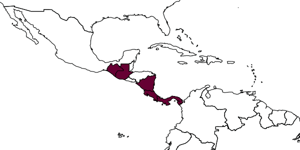 map of Mesochorus panamensis     Dasch, 1974